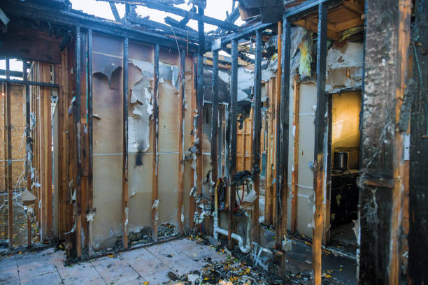 Professional Fire Damage Removal technician working in Essex, MD